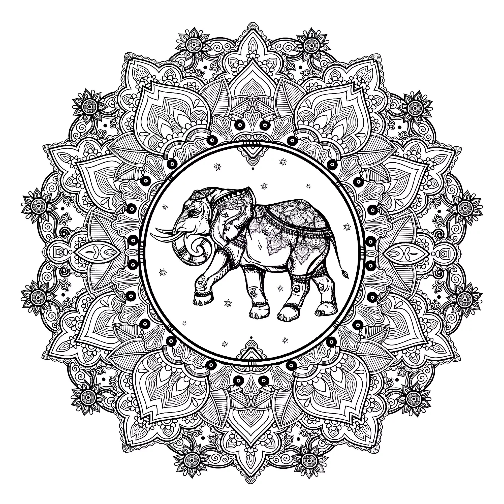 Mandala elephant 123rf (Printable Coloring Page for adults)