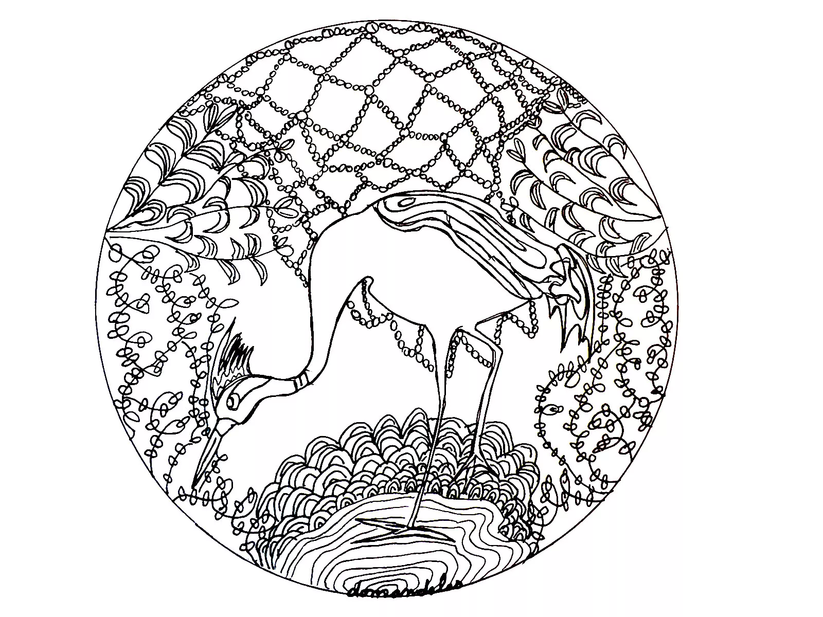 Mandala heron (Printable Coloring Page for adults)