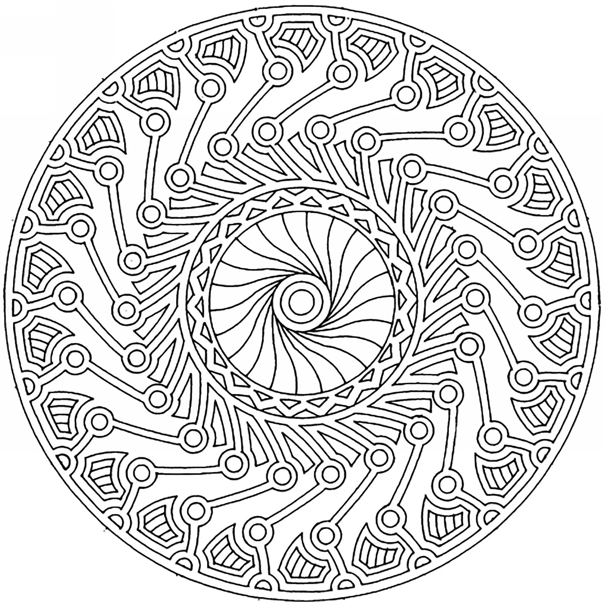 Mandala harmony and complexity (Printable Coloring Page for adults)