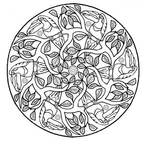 Coloring page mandala parrot