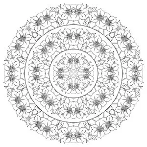 Complex mandala with many flowers