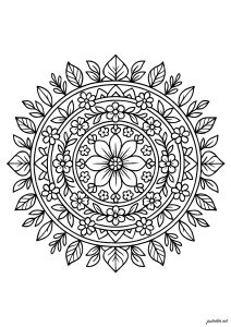 Enchanting floral mandala with captivating motifs