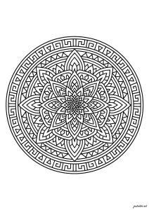 Floral symmetry in an elegant circle