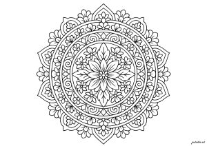 Intricate floral symmetry