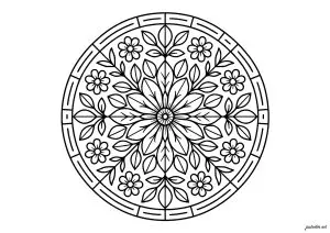 Symmetrical floral mandala