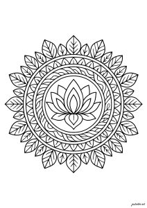 Lotus with symmetrical patterns