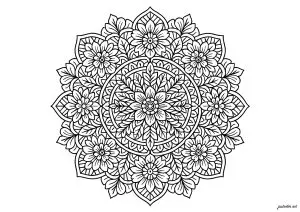 Mandala Nature Complex