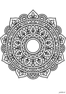 Floral complexity