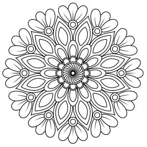 Simple plant mandala with leaves (Coloring Page)