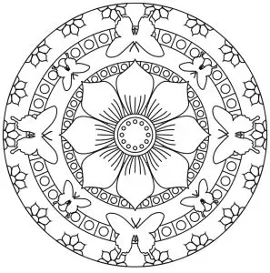 Mandala butterflies and flowers