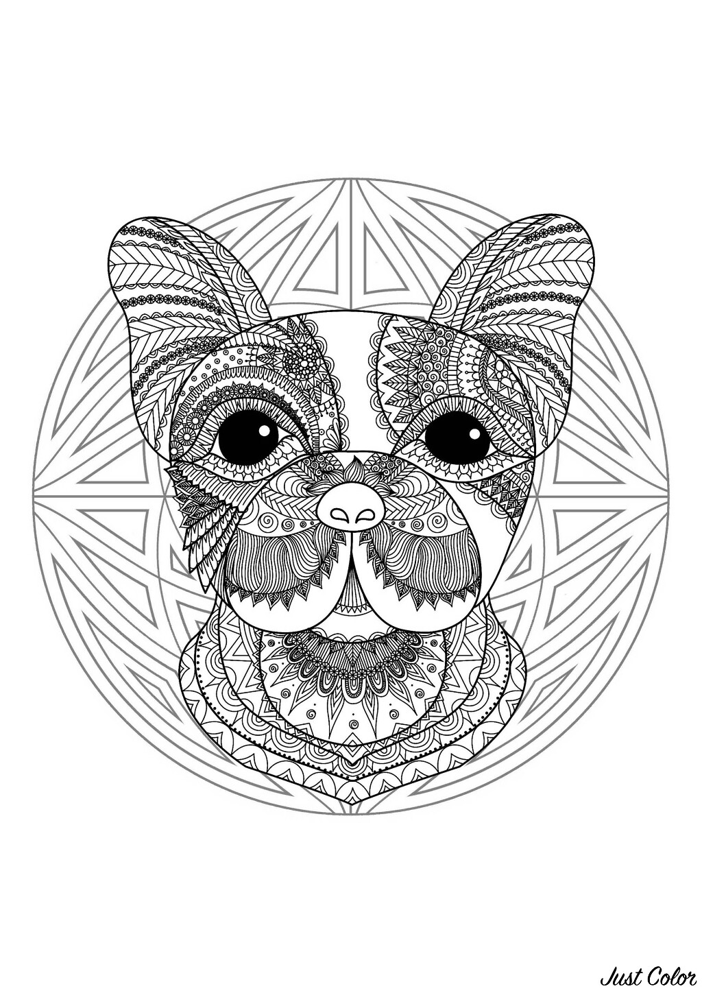 Coloring page with funny Dog head and beautiful Mandala in background