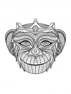 Monkey Head