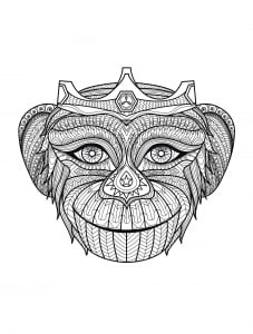 coloring-adult-monkey-head