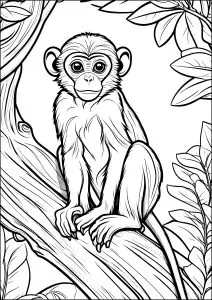 Young monkey on a thick tree branch