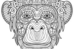Printable Monkeys coloring sheets for adults