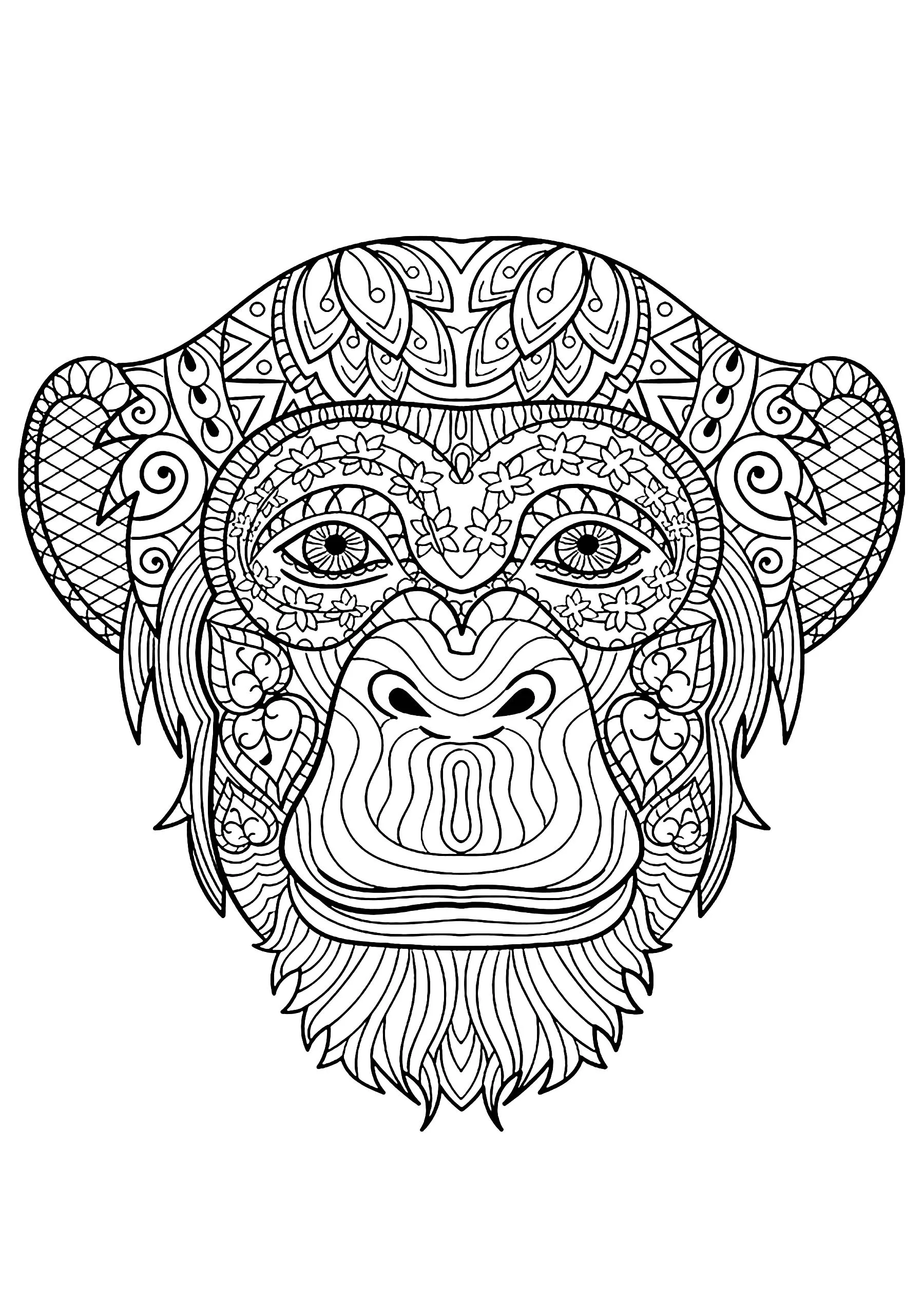 Monkey head (Printable Coloring Page for adults)