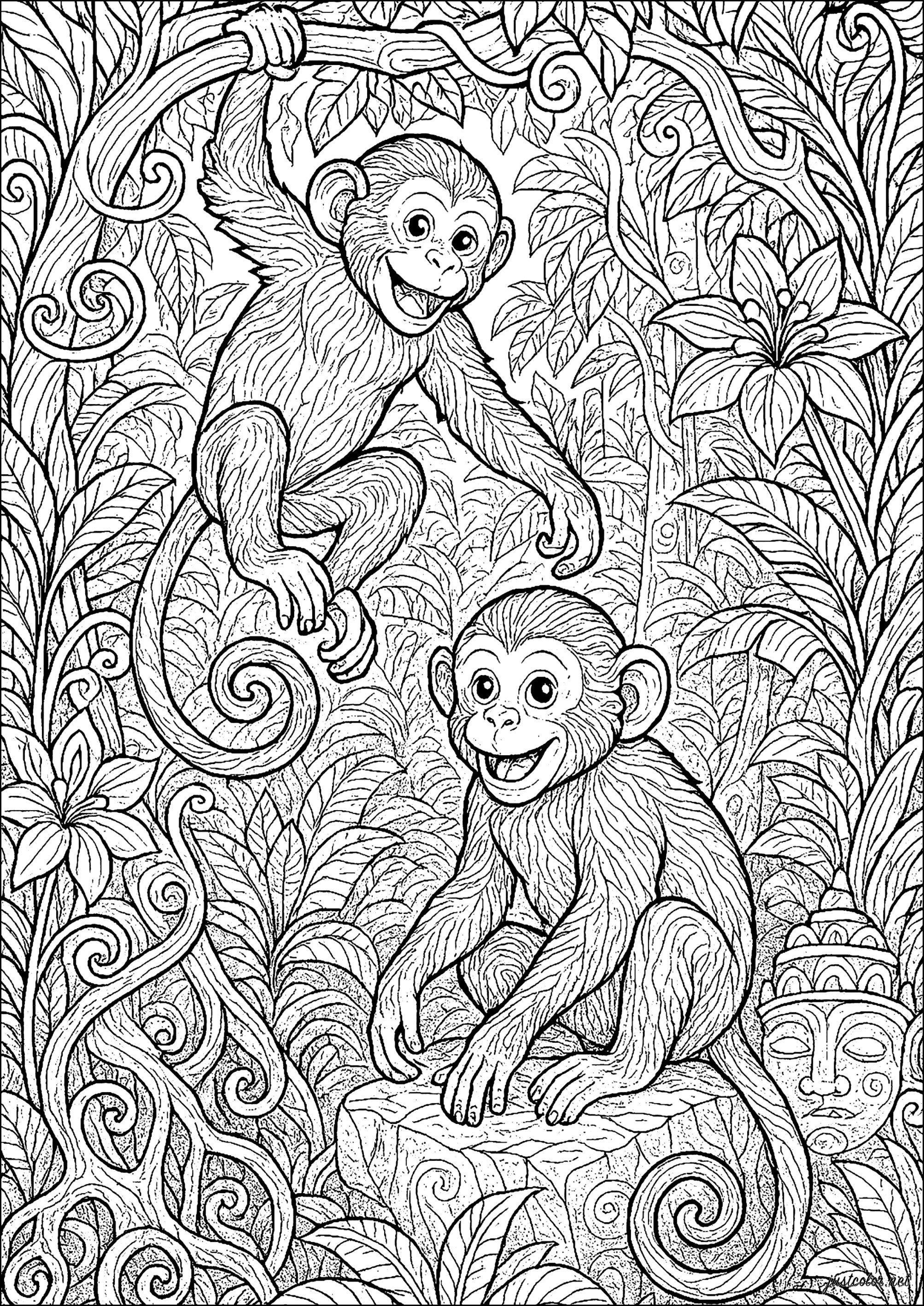 Two young monkeys in the jungle (Printable Coloring Page for adults)