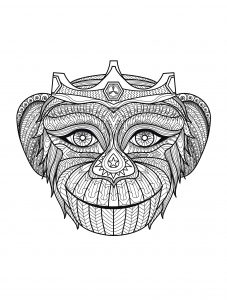 Coloring adult monkey head