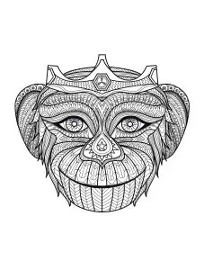 Monkey head