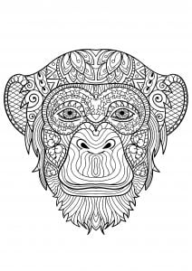 Printable Monkey images for adults Printable Monkey complex coloring sheets for adults