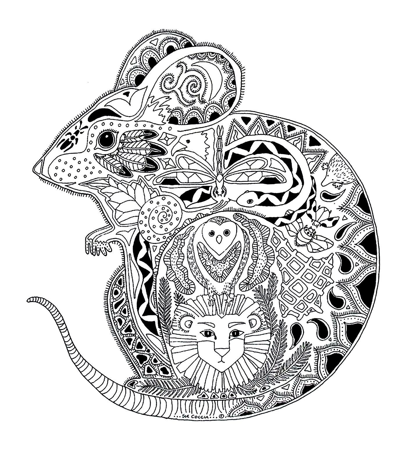 Animals mouse - Mouses Adult Coloring Pages