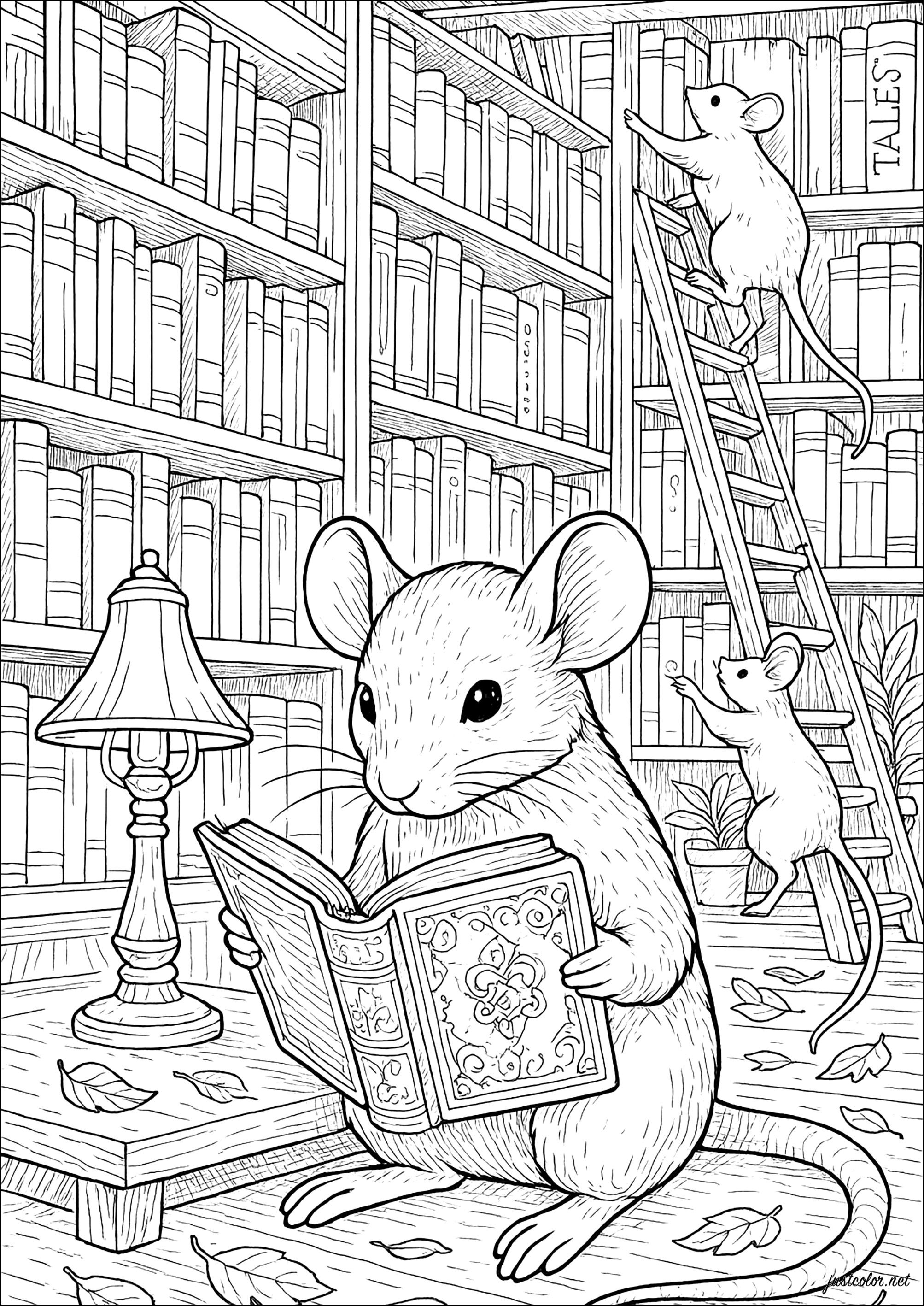 Bibliophile exploration (Printable Mouse Coloring Page for adults)