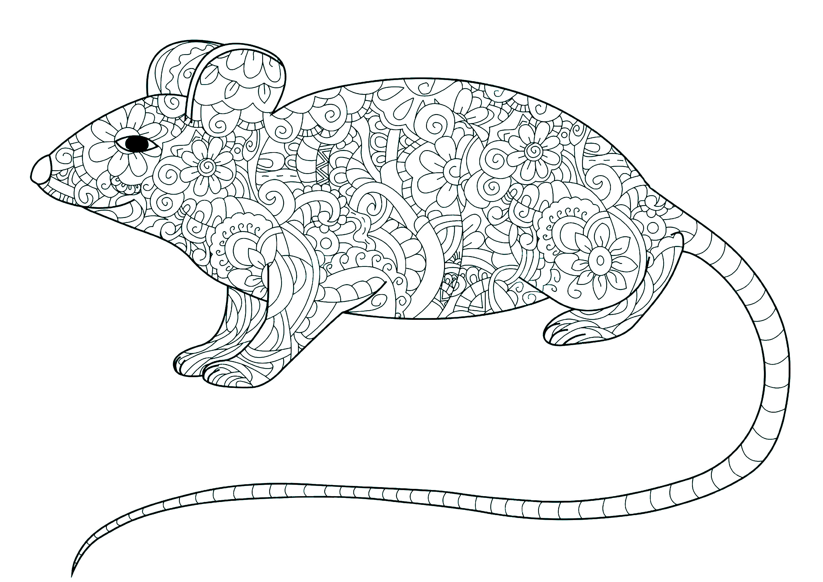 Coloring page of a mouse with long tail and the body filled with floral patterns Coloring page of a mouse with long tail and the body filled with floral patterns