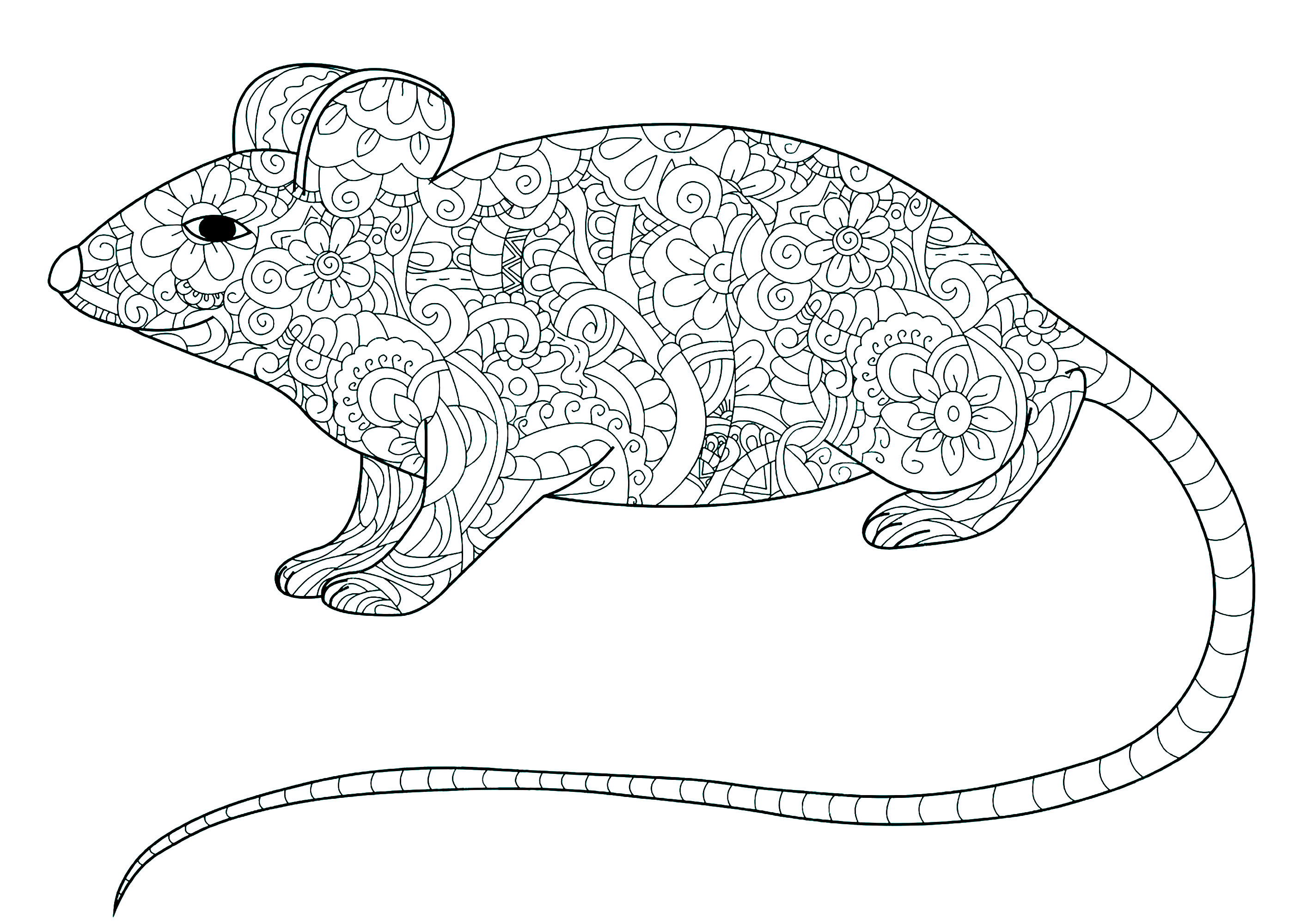 Coloring page of a mouse with long tail and the body filled with floral patterns