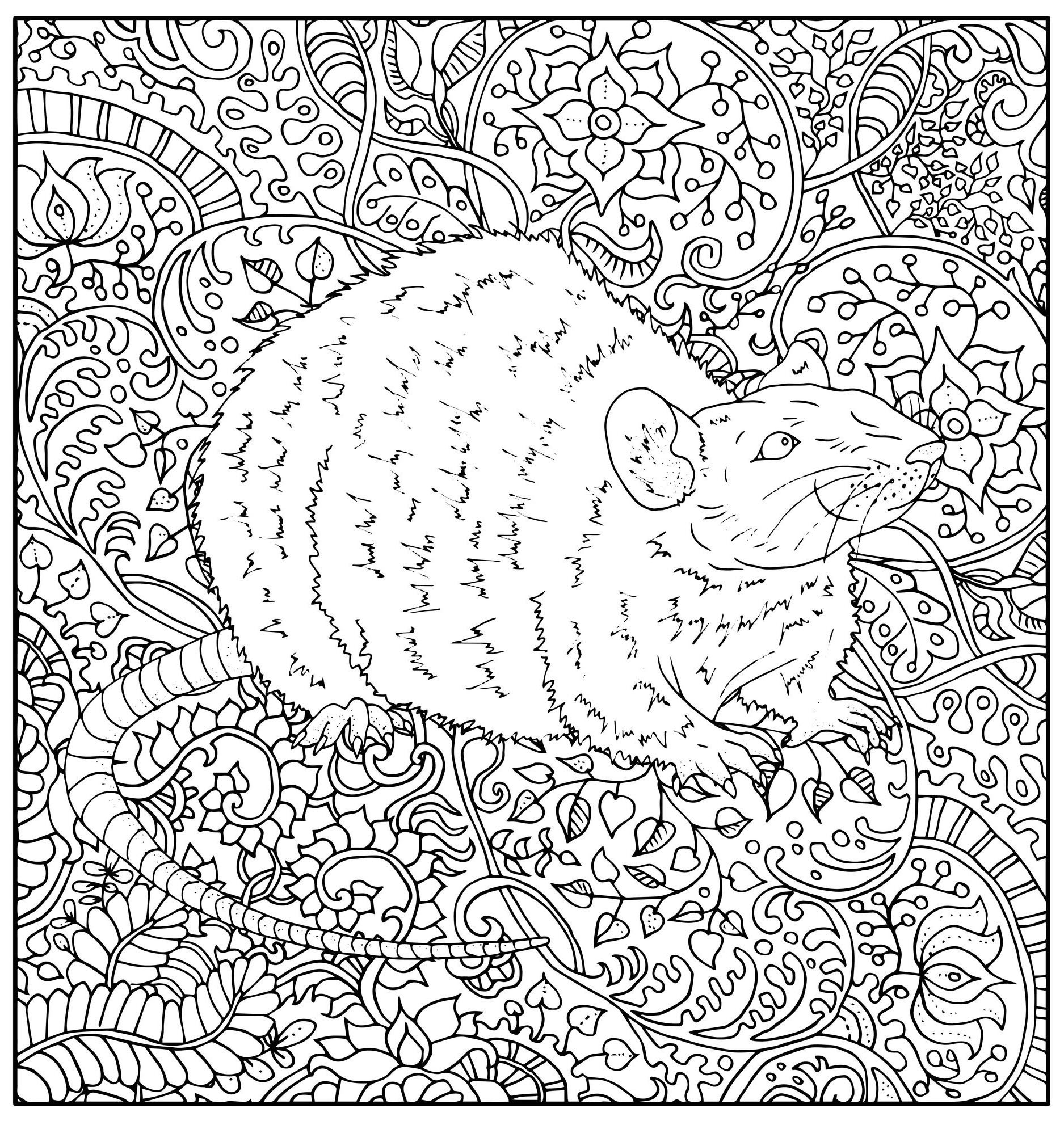 Coloring page representing a realistically drawn rat with various abstract vegetal patterns