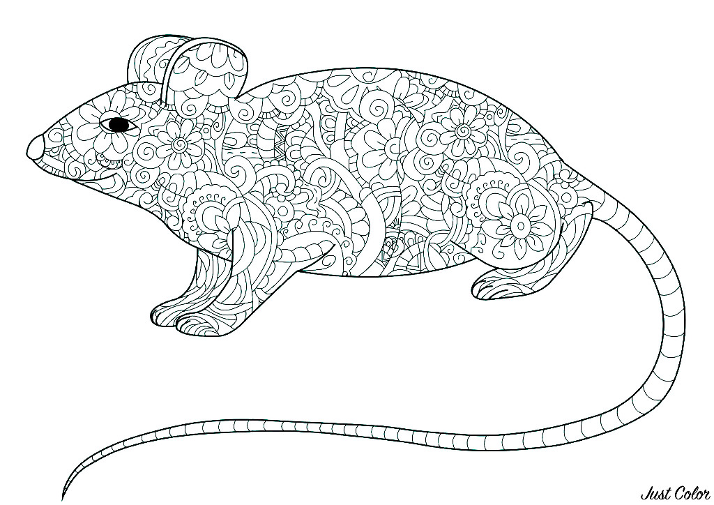 Coloring page of a mouse with long tail and the body filled with floral patterns