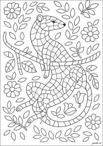 Funny Animal On A Branch