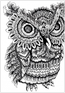 Owl Big Eyes