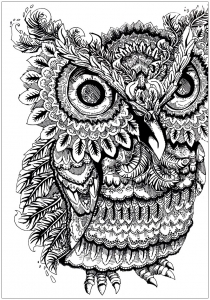 coloring-adult-owl-big-eyes