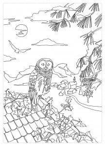 coloring-adult-owl-on-a-roof-by-marion-c