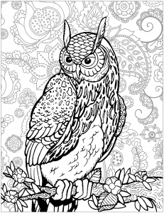 coloring-owl-on-tree-branch-background