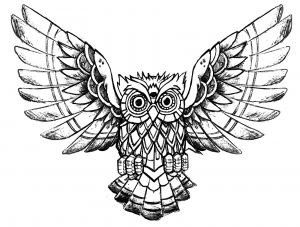 Owl Raw Drawing