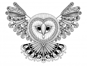 coloring-page-owl-with-big-head