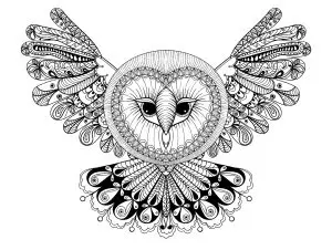 Owl with big head, like a Mandala !