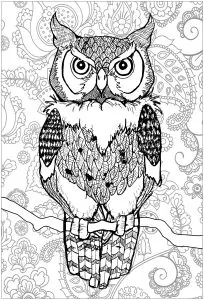 Piercing eyes owl with background