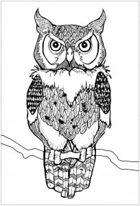 Coloring piercing eyes owl