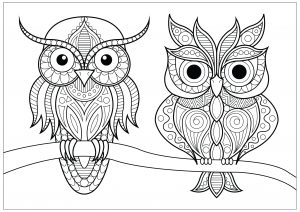 coloring-two-owls-with-simple-patterns-on-branch