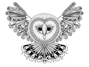Coloring page owl with big head