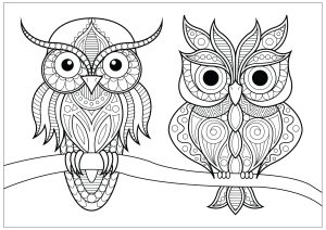 Coloring two owls with simple patterns on branch