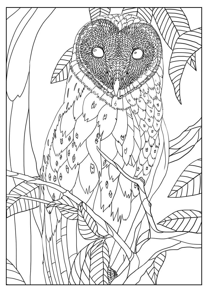 Barn owl by mizu (Printable Coloring Page for adults)