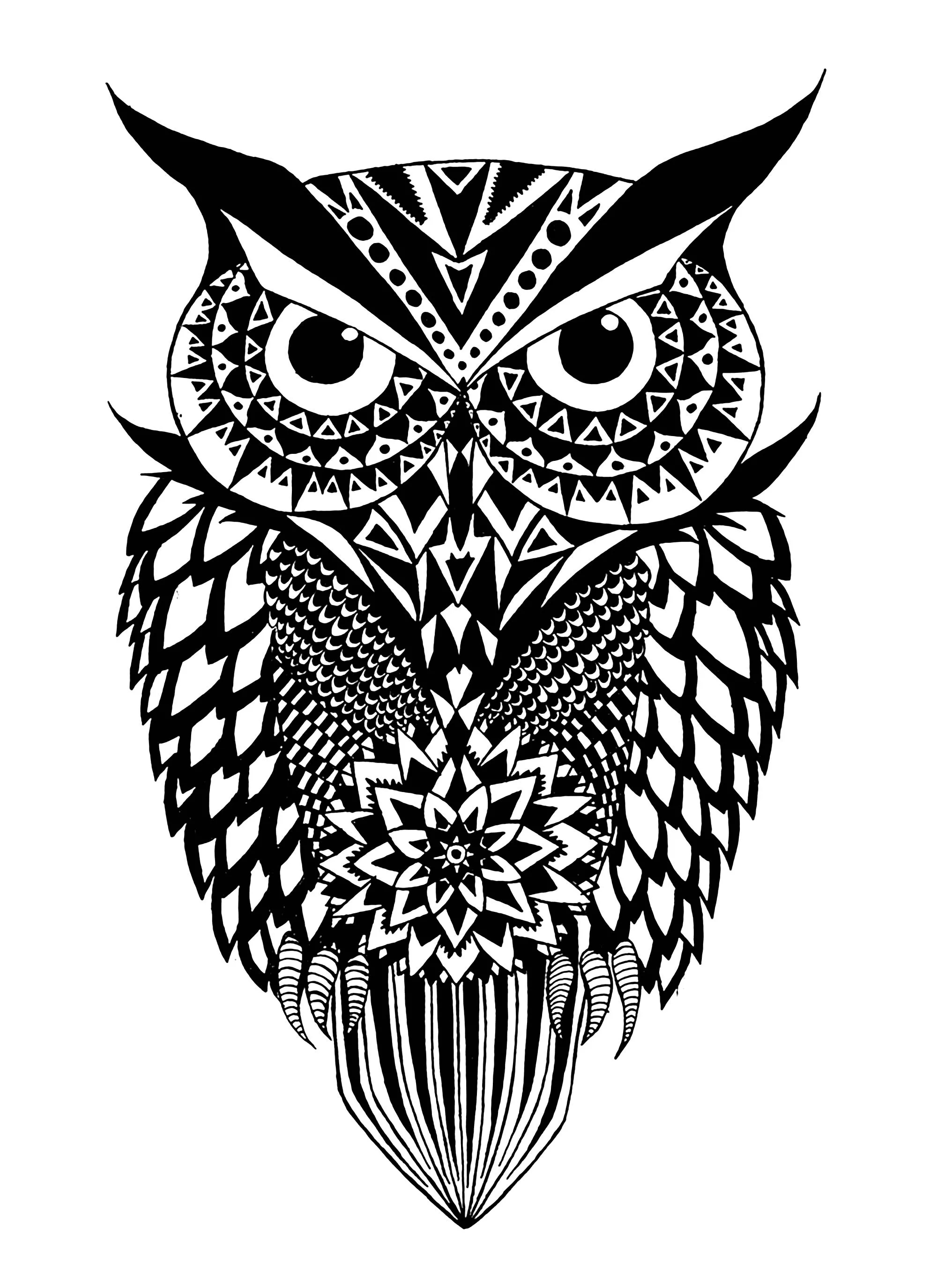 Black and white owl (Printable Coloring Page for adults)