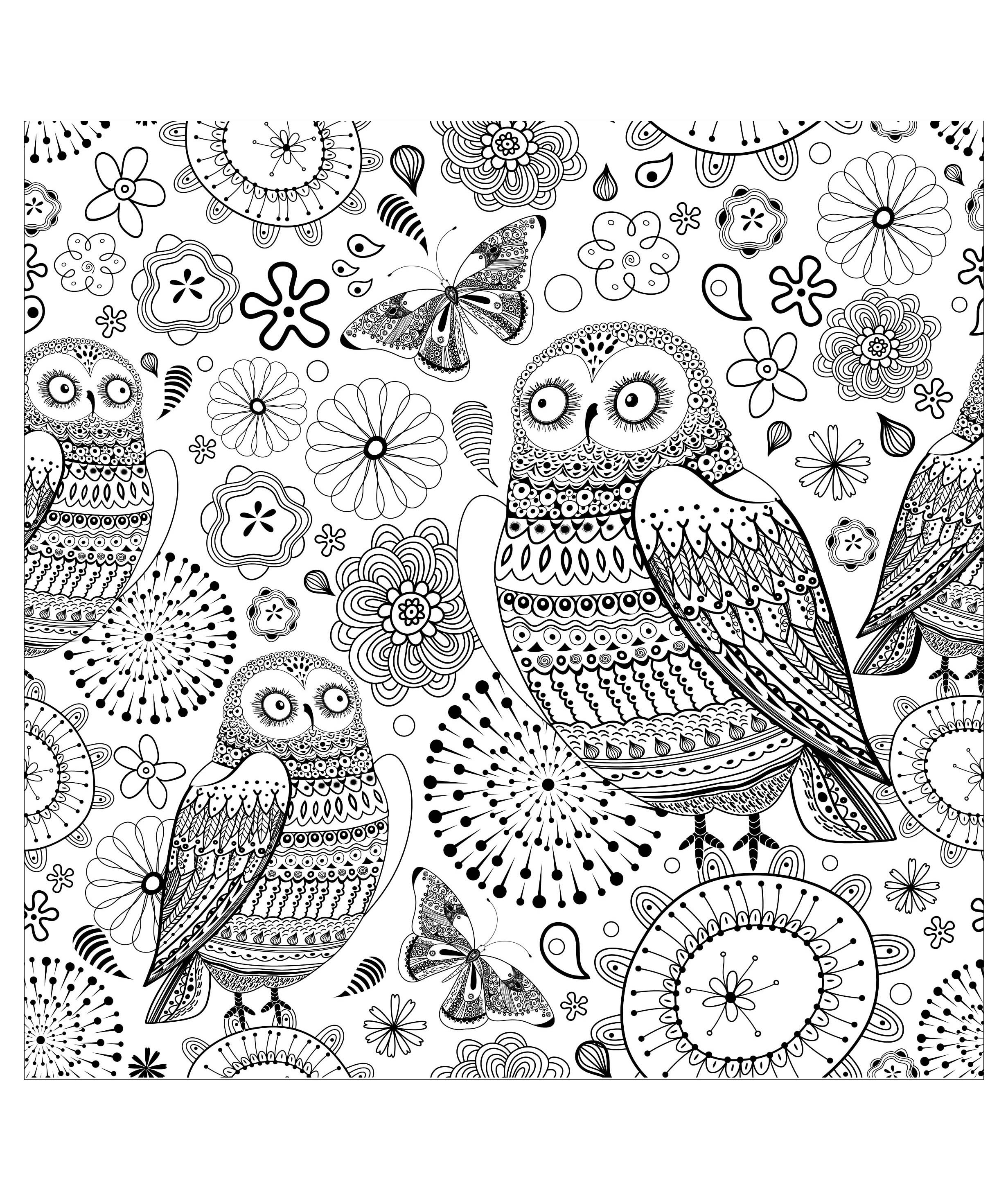 A superb drawing of an owl, to print and color