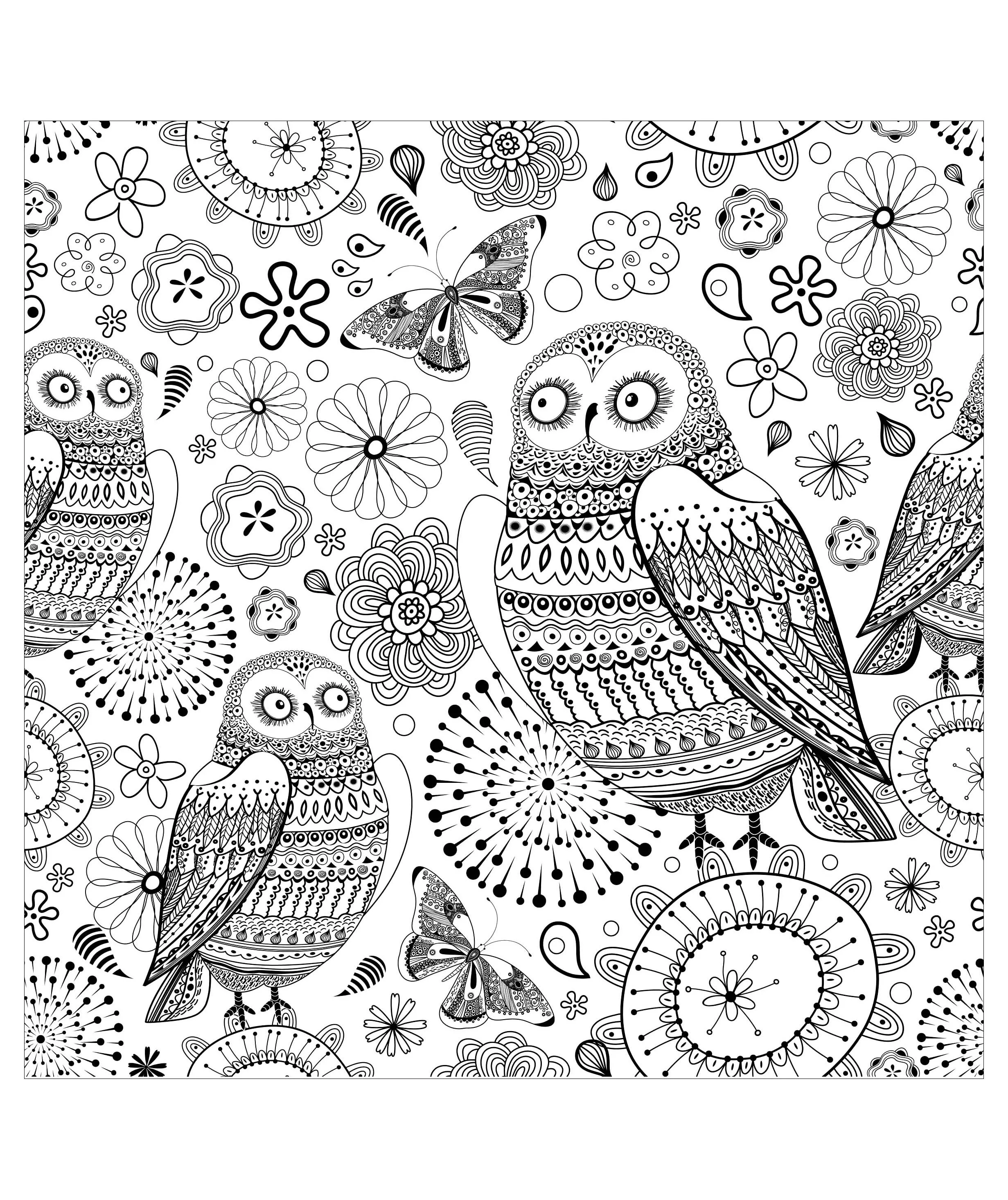 Owls (Printable Coloring Page for adults)
