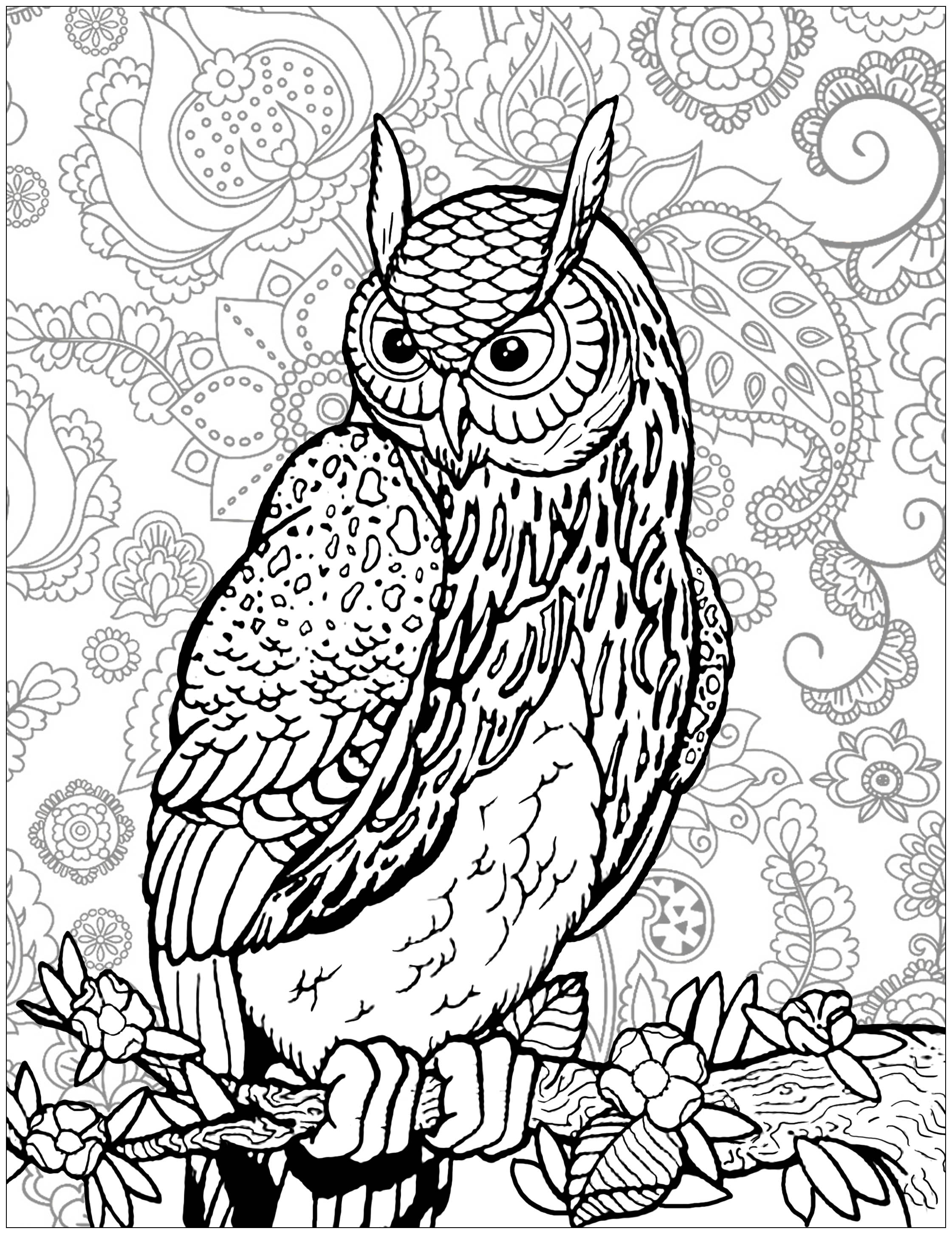 Owl on a Tree branch, with complex background, Artist : Art. Isabelle