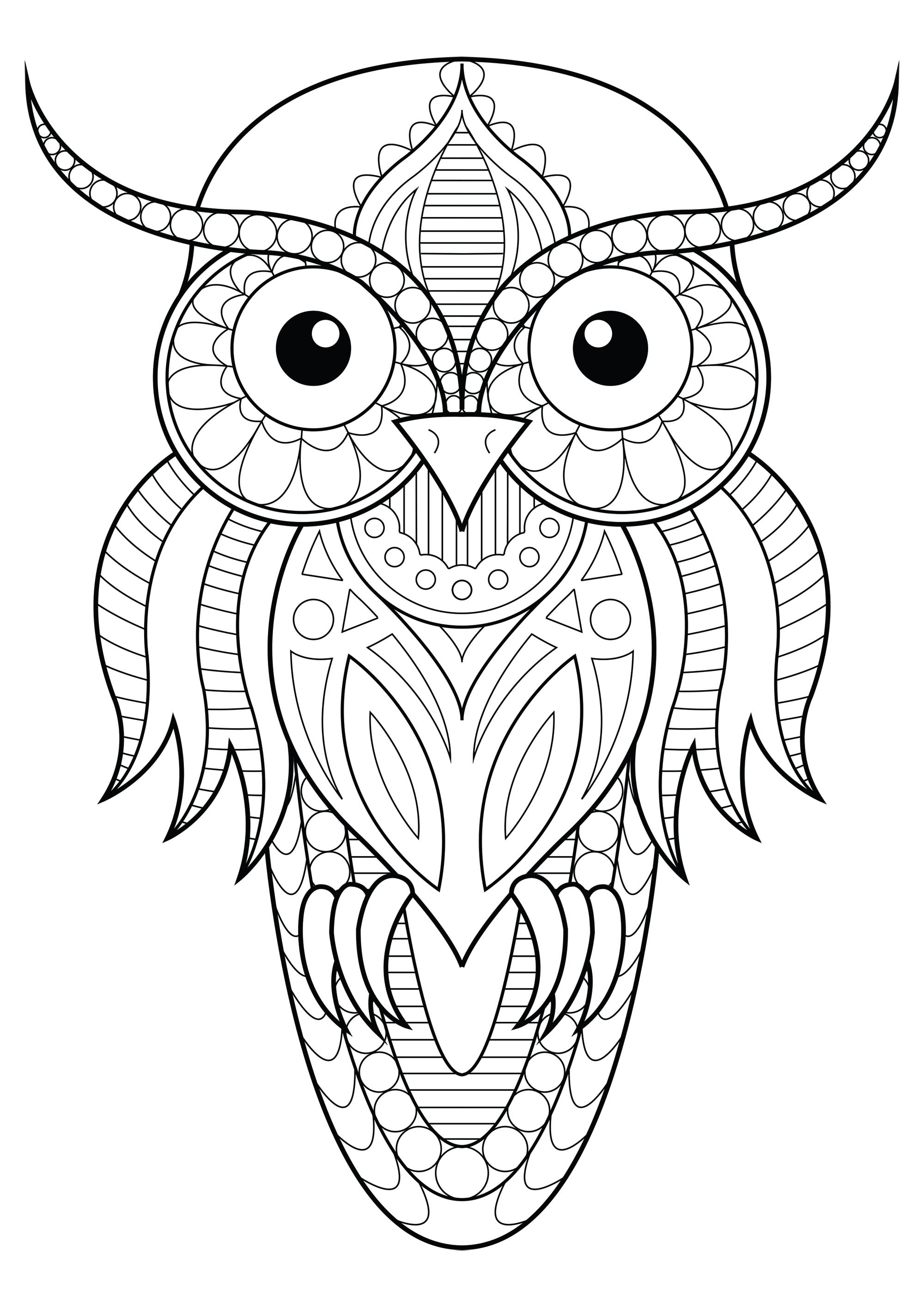 Owl simple patterns 1 Owls Adult Coloring Pages Owl simple patterns 1 Owls Adult Coloring Pages