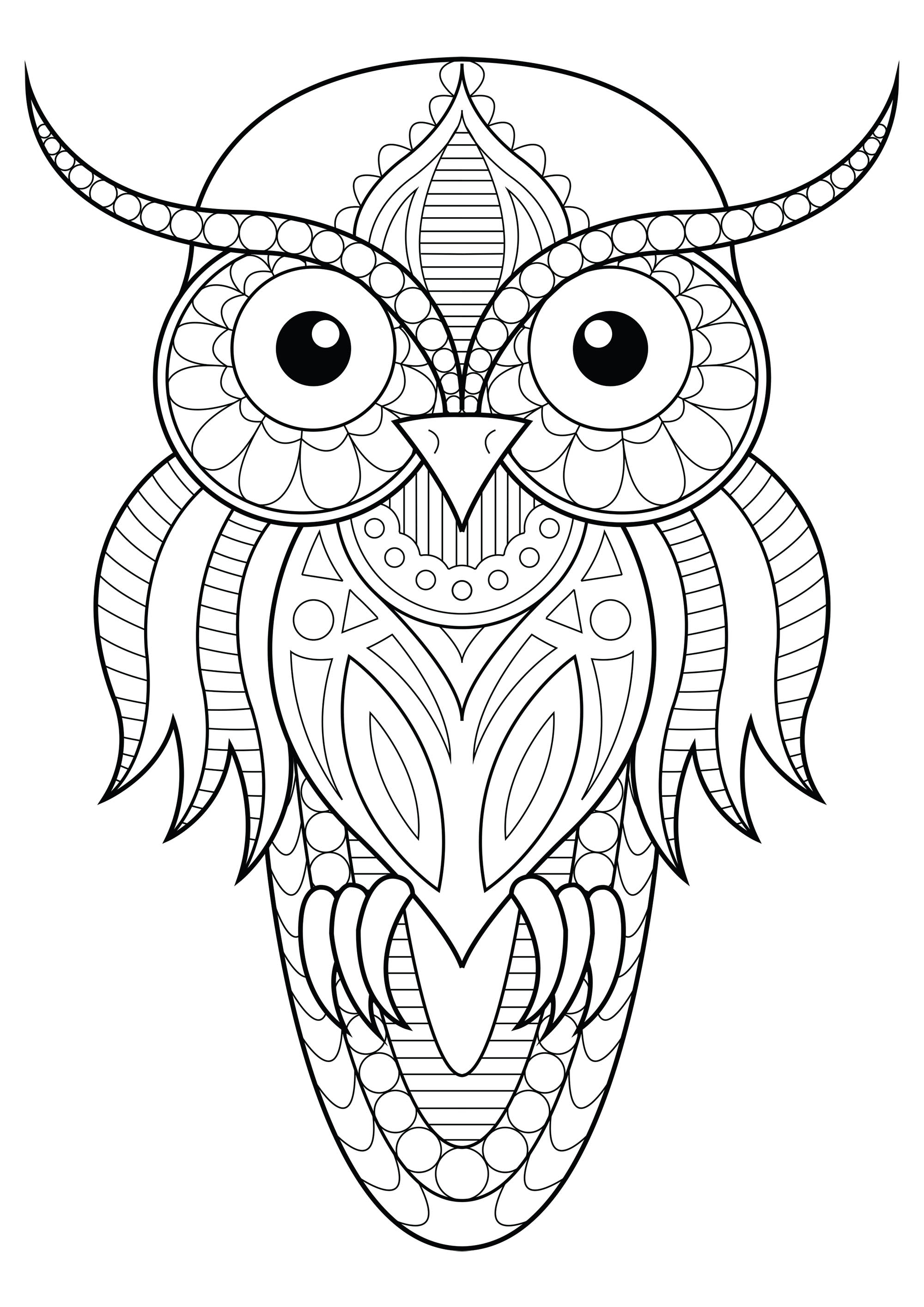 Animal Owl Coloring Pages For Adults / More and more people of all ages